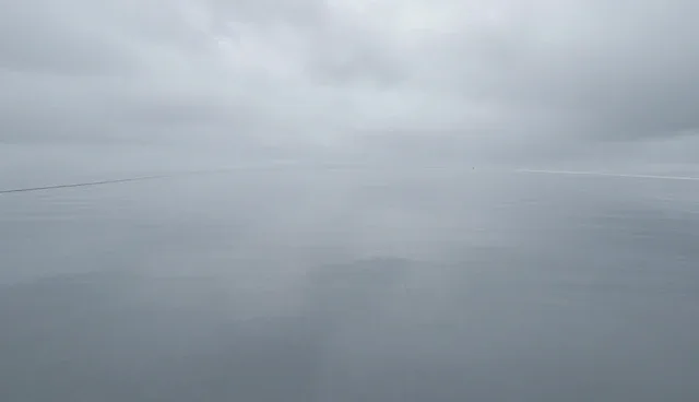 防腐密封胶:维护方法在不同场景中的应用分析